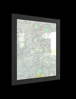 Blytheville, Arkansas Sectional